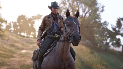 Red Dead Redemption 2[PLAY STATION 4]