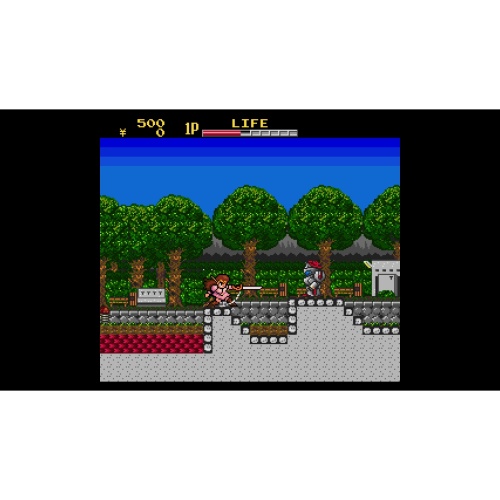 Cyber Citizen Shockman [NINTENDO SWITCH]